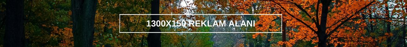 Tanıtım Alanı